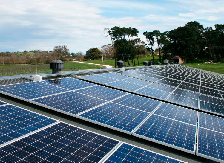 2016年に導入された太陽光パネルで醸造所の半分の電力を賄っています